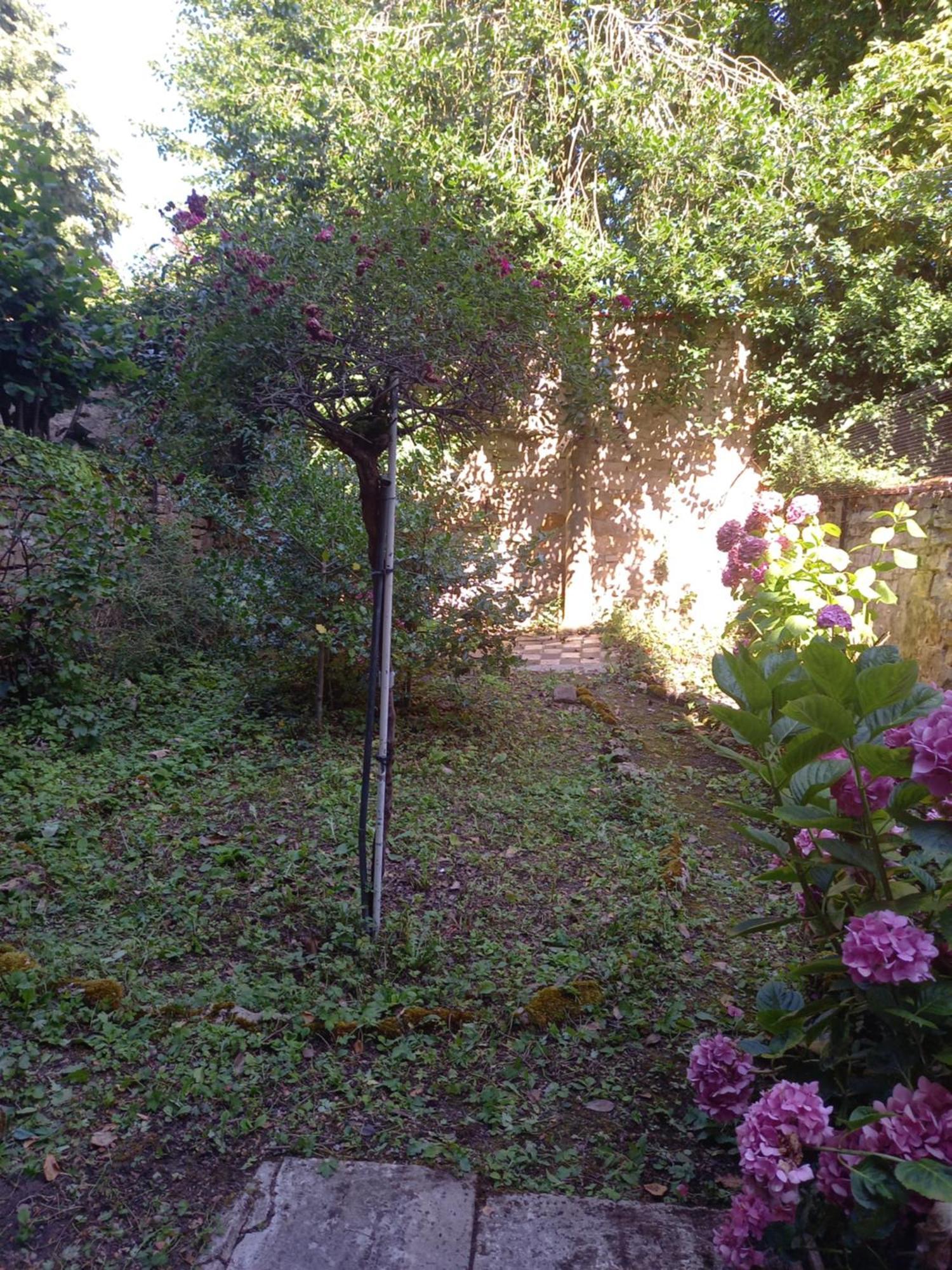 La Teranga De Kadi & Cathy, Avec Jardin Privatif Lejlighed Nancy Eksteriør billede