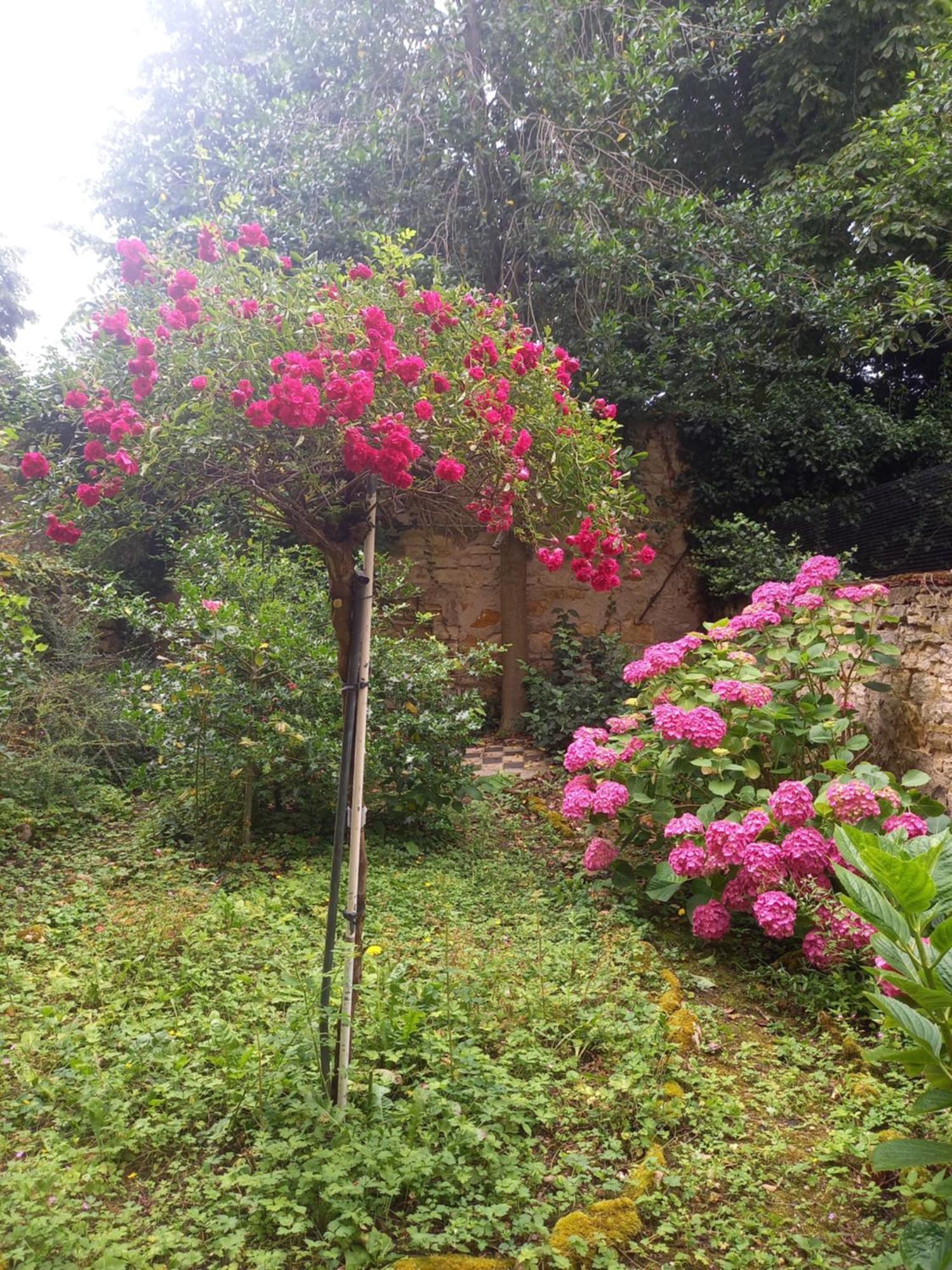 La Teranga De Kadi & Cathy, Avec Jardin Privatif Lejlighed Nancy Eksteriør billede